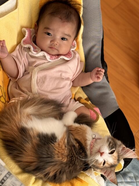 モカ部長2歳になりました。